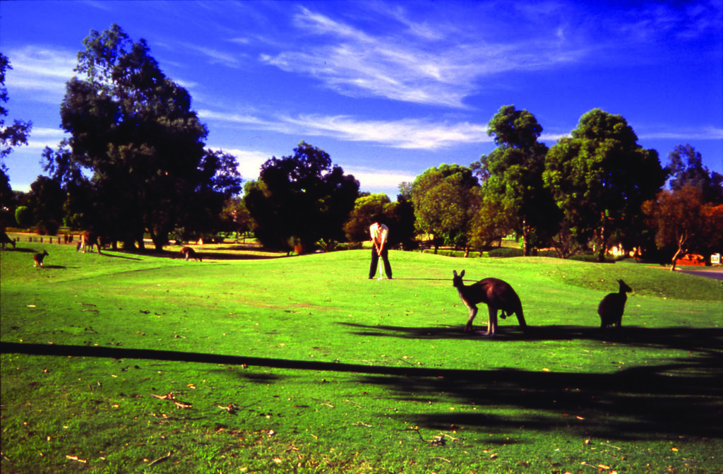 Novotel Vines Resort Swan Valley The Vines Exterior foto